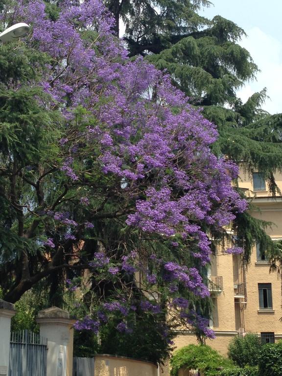 Room In Roma Isole Exterior photo